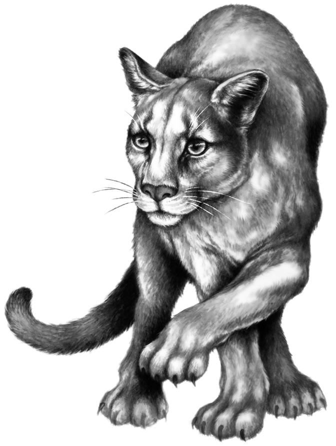 Превращение Карага Превращение Карага