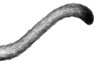 Превращение Карага Превращение Карага