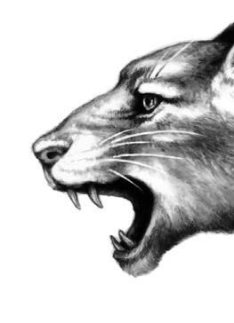 Превращение Карага Превращение Карага