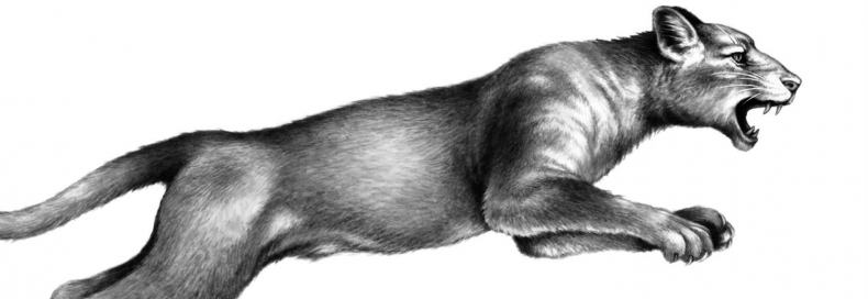 Превращение Карага Превращение Карага