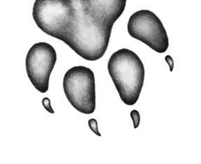 Превращение Карага Превращение Карага