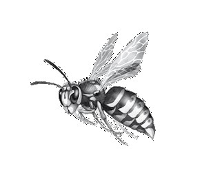 Тайна Холли Тайна Холли