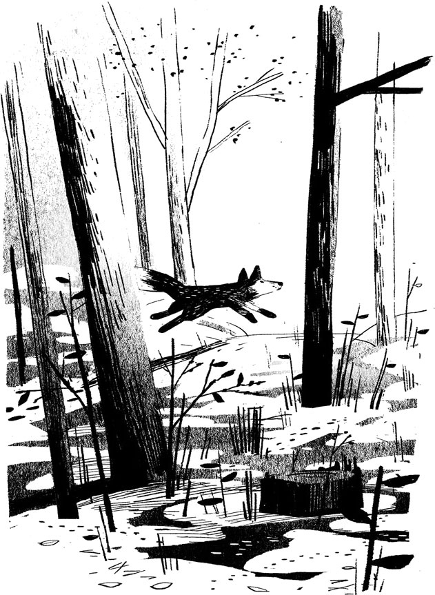 Пакс. Дорога домой Пакс. Дорога домой