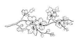 Ворону не к лицу кимоно