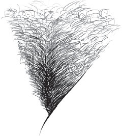 Старше, но лучше. Искусство взрослеть, не старея Старше, но лучше. Искусство взрослеть, не старея