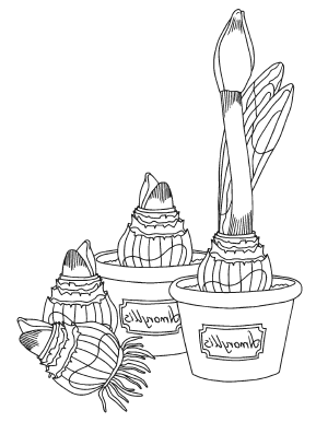 Мы из Дачкино. Советы без занудства для новых дачников