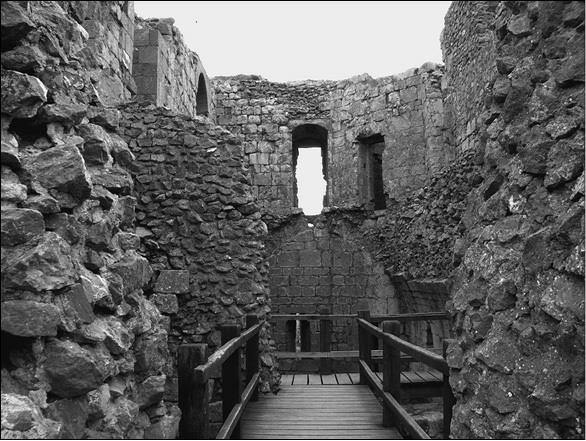 Альбигойские войны 1208—1216 гг.