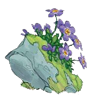 По следам лунных цветов По следам лунных цветов