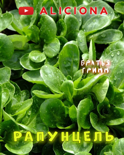 Братья Гримм - Рапунцель