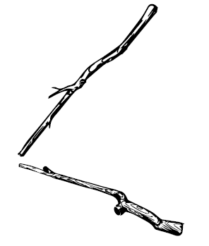 В чём секрет, Чарли? В чём секрет, Чарли?