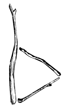 В чём секрет, Чарли? В чём секрет, Чарли?