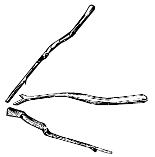 В чём секрет, Чарли? В чём секрет, Чарли?