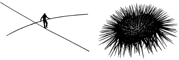 Ковид и постковид. Как справиться с последствиями коронавируса. Микроэлементы и витамины для защиты и восстановления здоровья