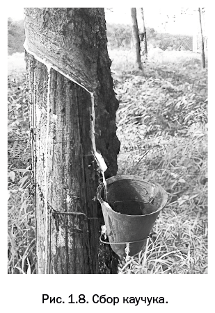 Лаборатория химических историй. От электрона до молекулярных машин