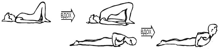 Сердце йоги. Принципы построения индивидуальной практики. «Йога-сутры» Патанджали. «Йоганджалисара» Шри Кришнамачарья