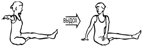 Сердце йоги. Принципы построения индивидуальной практики. «Йога-сутры» Патанджали. «Йоганджалисара» Шри Кришнамачарья