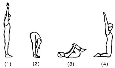 Сердце йоги. Принципы построения индивидуальной практики. «Йога-сутры» Патанджали. «Йоганджалисара» Шри Кришнамачарья Сердце йоги. Принципы построения индивидуальной практики. «Йога-сутры» Патанджали. «Йоганджалисара» Шри Кришнамачарья