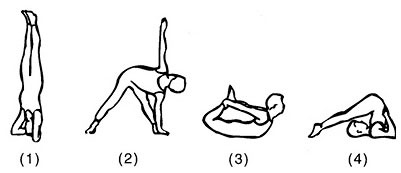 Сердце йоги. Принципы построения индивидуальной практики. «Йога-сутры» Патанджали. «Йоганджалисара» Шри Кришнамачарья Сердце йоги. Принципы построения индивидуальной практики. «Йога-сутры» Патанджали. «Йоганджалисара» Шри Кришнамачарья