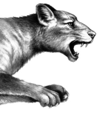 Секрет сфинкса Секрет сфинкса