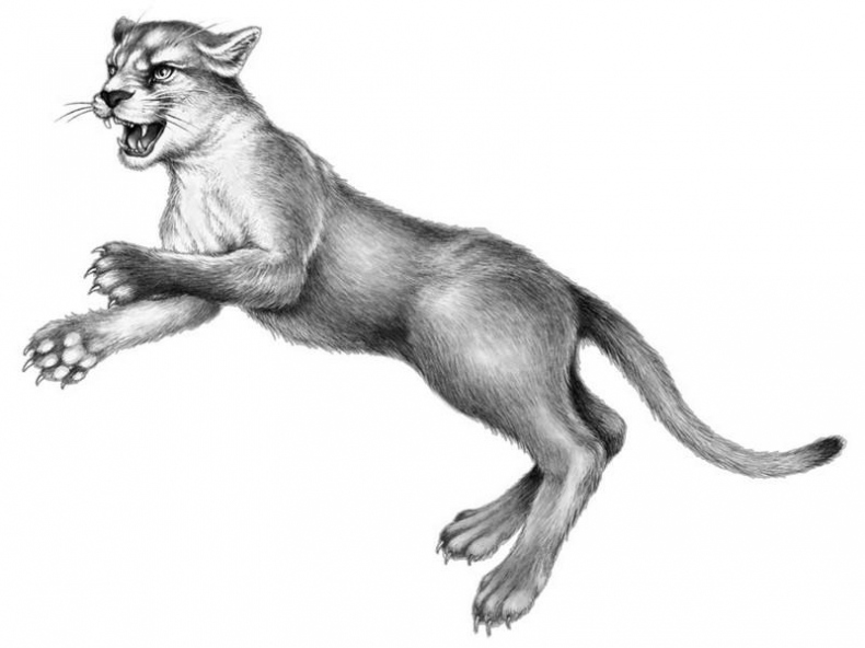 Караг и волчье испытание Караг и волчье испытание