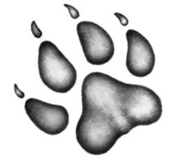 Караг и волчье испытание Караг и волчье испытание