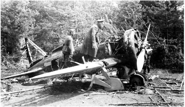 Небо вторжения. Горячее лето 1941 года Небо вторжения. Горячее лето 1941 года