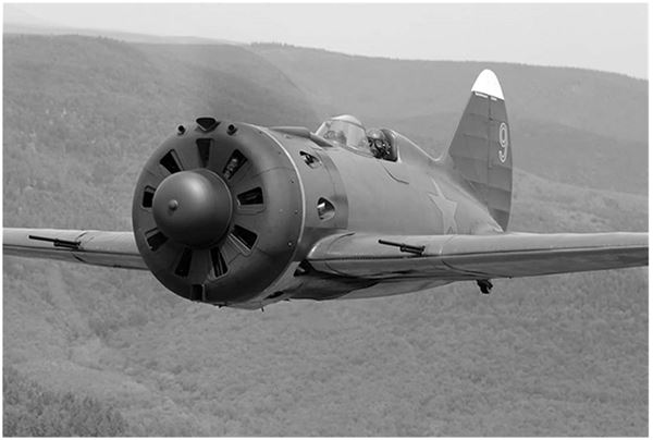 Небо вторжения. Горячее лето 1941 года Небо вторжения. Горячее лето 1941 года