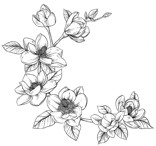 Цветок империи