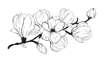 Цветок империи