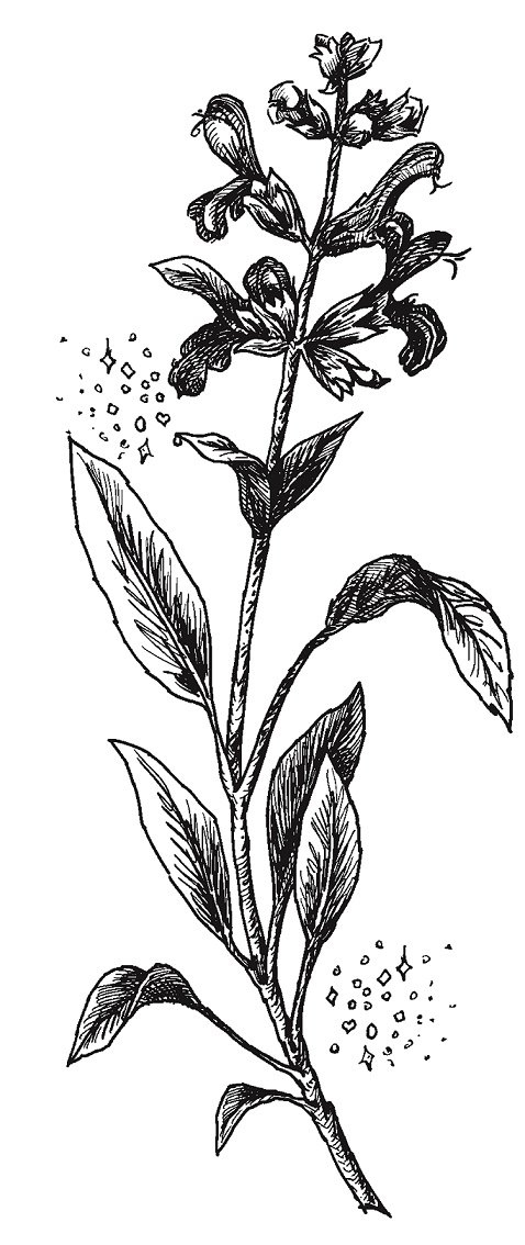 Совершенно не обязательные смерти