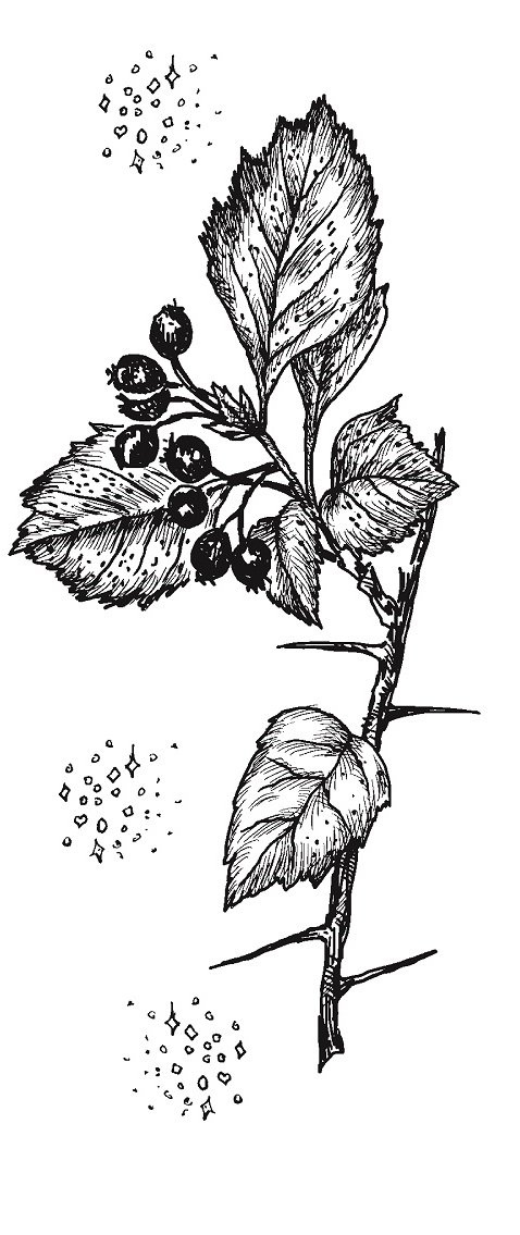 Совершенно не обязательные смерти