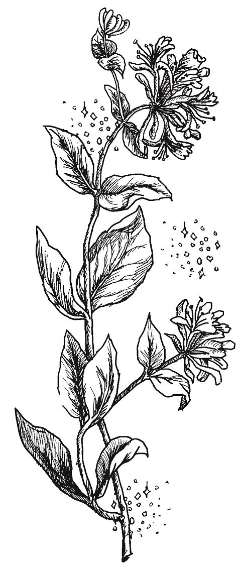 Совершенно не обязательные смерти