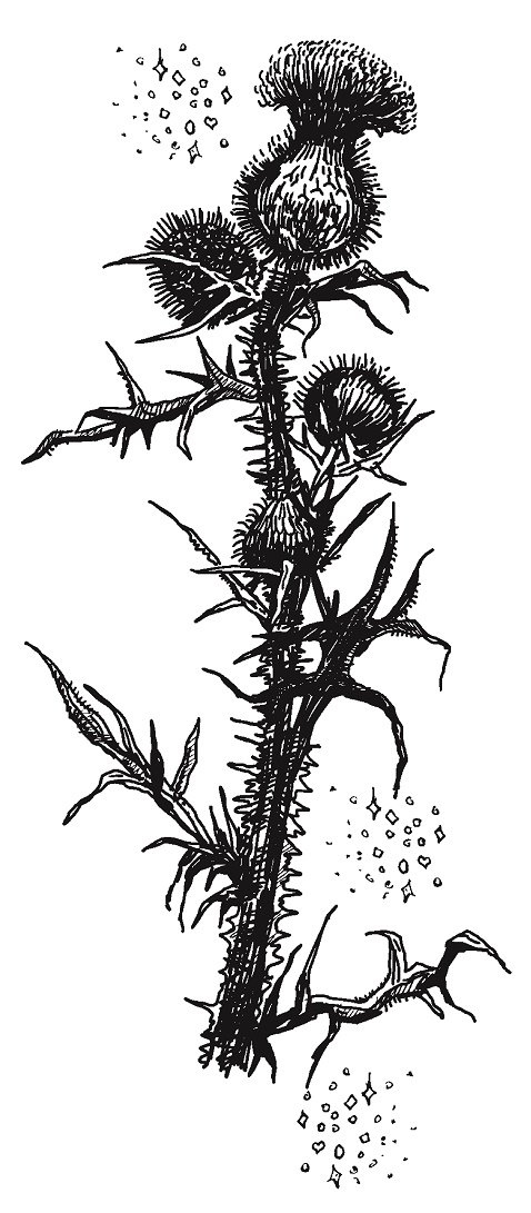 Совершенно не обязательные смерти