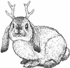 В зоне риска. Тонкости защиты женского организма. Как ВПЧ проникает в наш организм, чем он опасен и что поможет избежать последствий В зоне риска. Тонкости защиты женского организма. Как ВПЧ проникает в наш организм, чем он опасен и что поможет избежать последствий