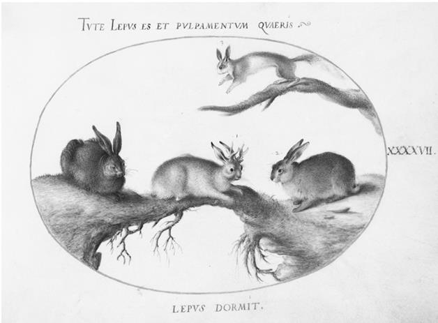 В зоне риска. Тонкости защиты женского организма. Как ВПЧ проникает в наш организм, чем он опасен и что поможет избежать последствий В зоне риска. Тонкости защиты женского организма. Как ВПЧ проникает в наш организм, чем он опасен и что поможет избежать последствий