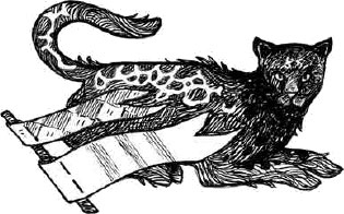 Арена заблудших