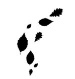 Ведьма Ведьма