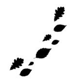 Ведьма Ведьма