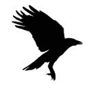 Ведьма Ведьма