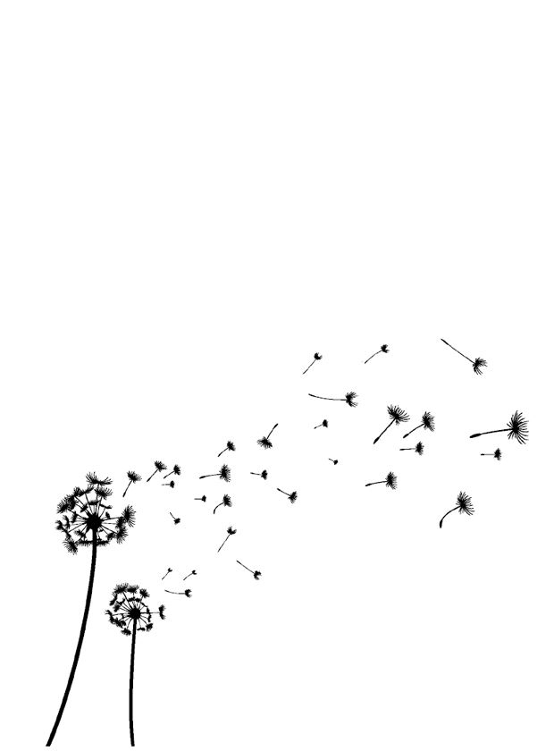 Ведьма Ведьма