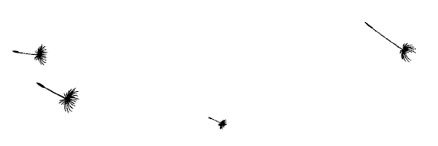 Ведьма Ведьма