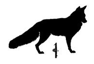 Ведьма Ведьма