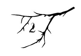 Ведьма Ведьма