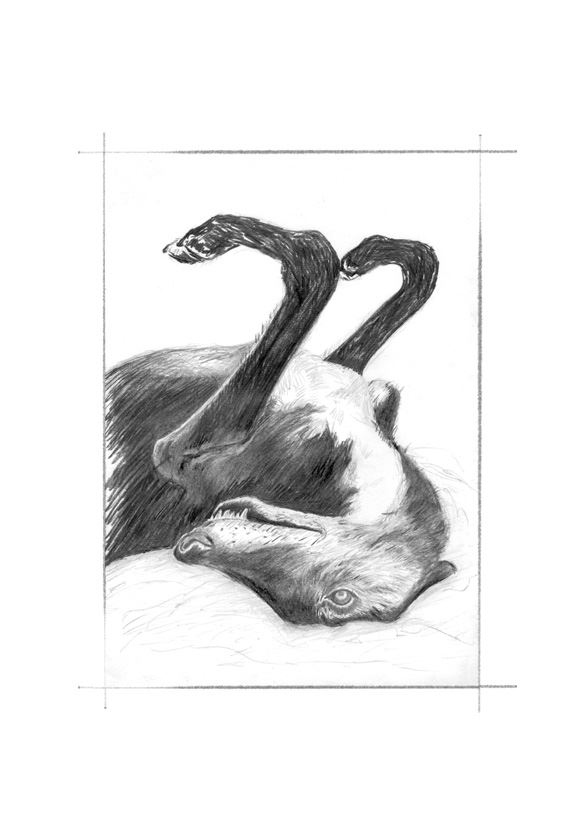 Ведьма Ведьма