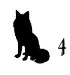 Ведьма Ведьма