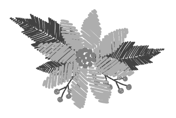 Дорогая Джозефина Дорогая Джозефина