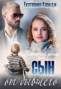 Новогодний роман, или Сын от бывшего - Екатерина Кариди