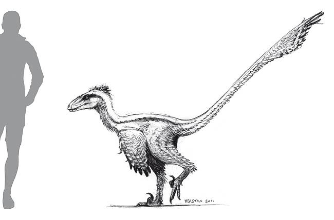 Требуется сборка. Расшифровываем четыре миллиарда лет истории жизни – от древних окаменелостей до ДНК Требуется сборка. Расшифровываем четыре миллиарда лет истории жизни – от древних окаменелостей до ДНК