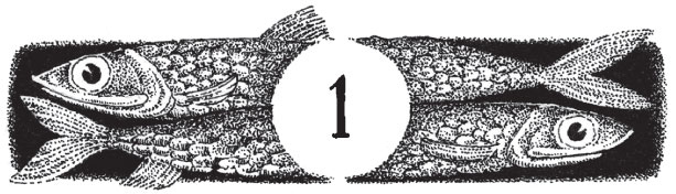 Новые странствия Салли Джонс Новые странствия Салли Джонс