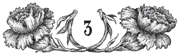 Новые странствия Салли Джонс